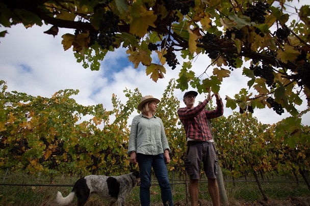 Wirra Wirra - Emma Anton